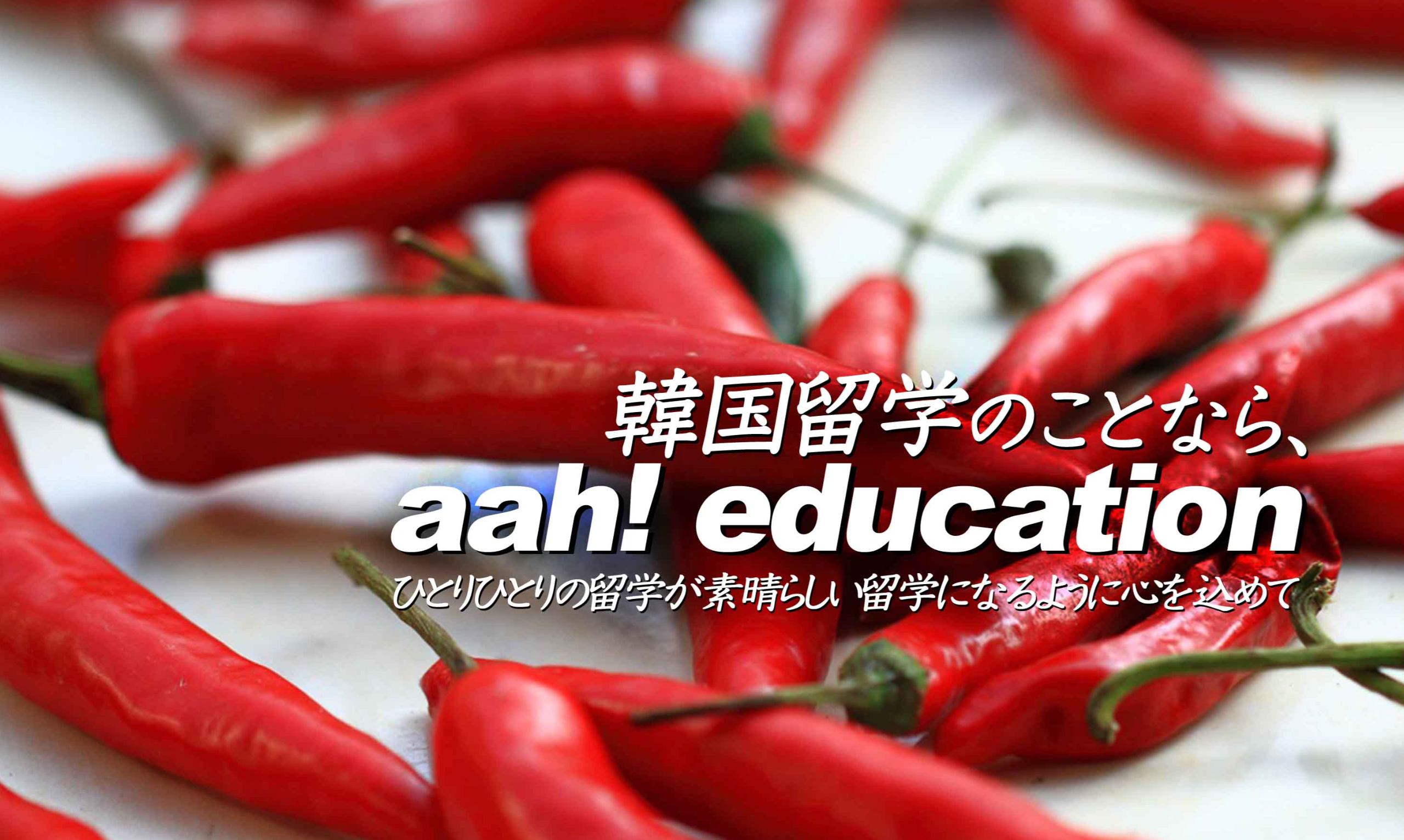 韓国留学エージェントaah! education（アーエデュケーション）の公式サイトTOP画面
